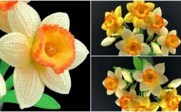 page 6 696x381 1. optimizedjpg