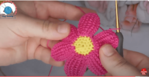 5 1 optimized 300x156 1