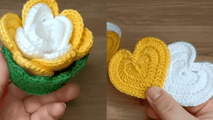 maxresdefault1 1 optimized 300x169 jpg